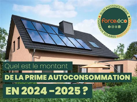 subvention panneau solaire 2022|Aide panneau solaire : les 9 subventions à découvrir en 2024.
